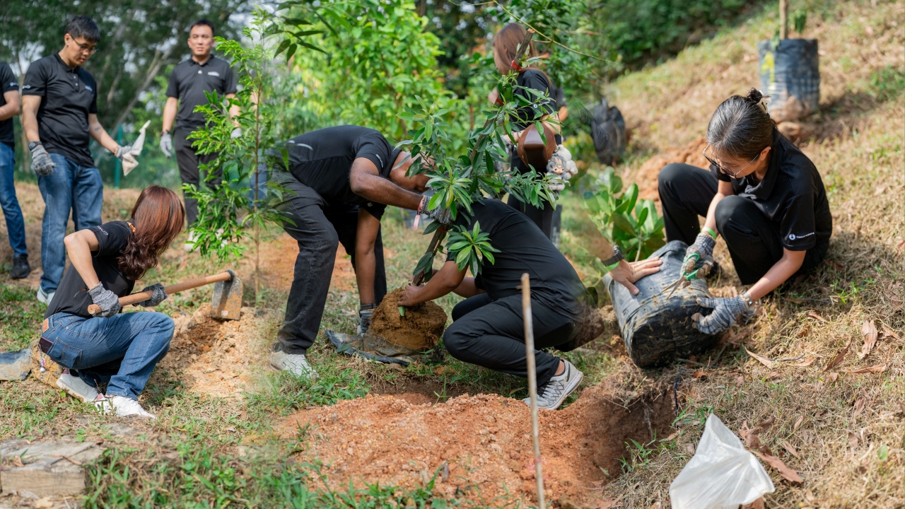 BYD Malaysia Turns 1,200 Public Pledges into Tree Planting Drive ...